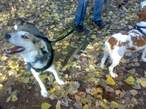 Chicco und Ira